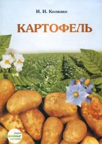 Картофель