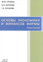 Osnovy ekonomiki i finansov firmy. Praktikum