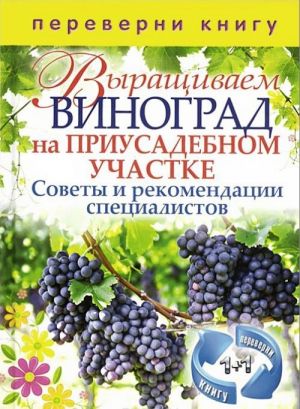 Vyraschivaem ovoschi v teplitsakh i parnikakh. Vyraschivaem vinograd na priusadebnom uchastke