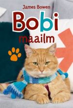 BOBI MAAILM