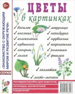 Цветы в картинках. Наглядное пособие для педагогов, логопедов, воспитателей и родителей