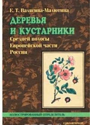 Derevja i kustarniki Srednej polosy Evropejskoj chasti Rossii