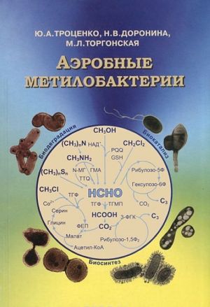 Aerobnye metilobakterii