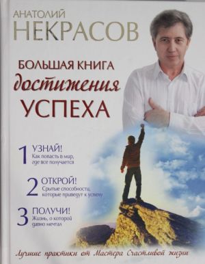 Большая книга достижения успеха