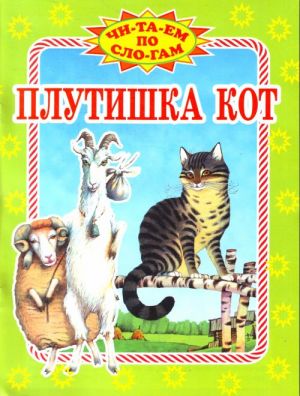 Плутишка кот