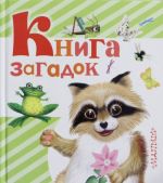 Книга загадок