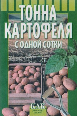 Тонна картофеля с одной сотки: Как увеличить урожай