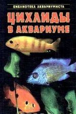 Tsikhlidy v akvariume