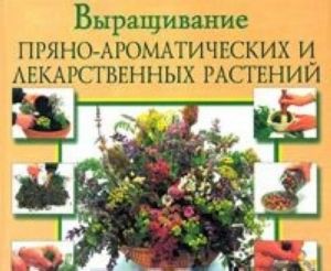 Vyraschivanie prjano-aromaticheskikh i lekarstvennykh rastenij