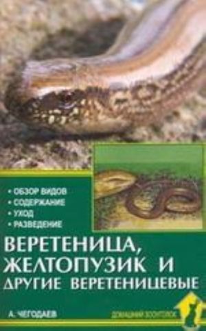 Веретеница, желтопузик и другие веретеницевые. Обзор видов. Содержание. Уход. Разведение