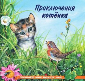 Приключения котенка