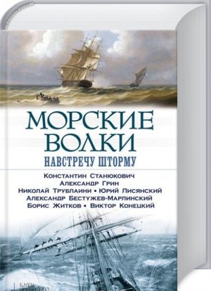 Морские волки. Навстречу шторму