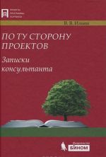 По ту сторону проектов. Записки консультанта