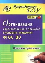 Organizatsija obrazovatelnogo protsessa v uslovijakh vnedrenija FGOS DO. Seminary-praktikumy