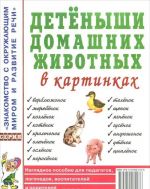 Detenyshi domashnikh zhivotnykh v kartinkakh. Nagljadnoe posobie dlja pedagogov, logopedov, vospitatelej i roditelej