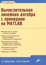 Vychislitelnaja linejnaja algebra s primerami na MATLAB