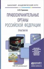 Правоохранительные органы Российской Федерации. Практикум. Учебное пособие