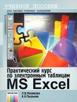 Практический курс по электронным таблицам MS Excel