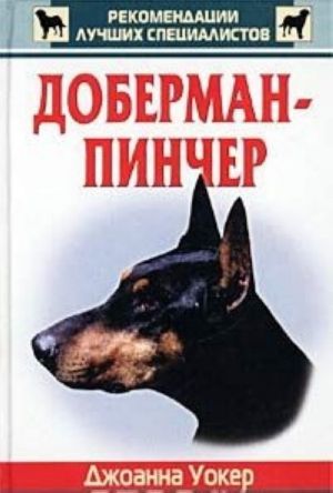 Doberman-pincher