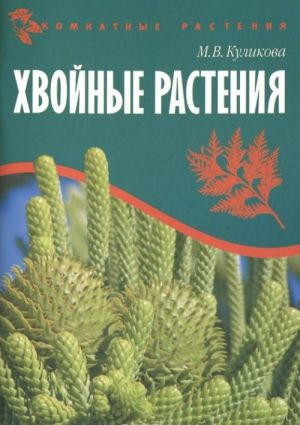 Хвойные растения