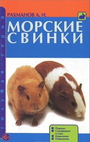 Морские свинки. Породы. Содержание и уход. Кормление. Разведение