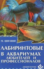 Labirintovye v akvariumakh ljubitelej i professionalov