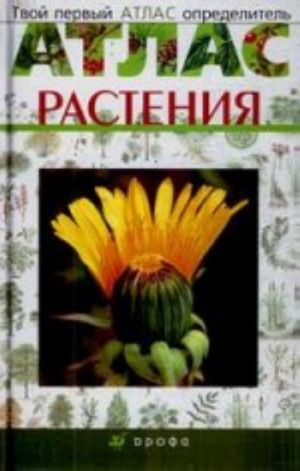 Твой первый атлас-определитель. Растения