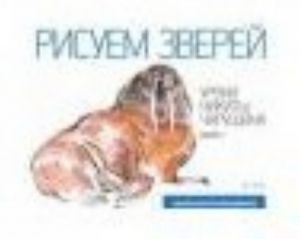 Рисуем зверей. Уроки Никиты Чарушина. Выпуск 1