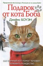 Подарок от кота Боба