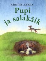 PUPI JA SALAKÄIK