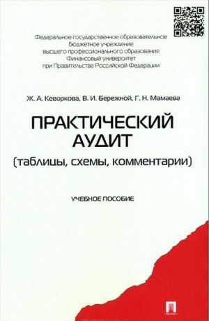 Практический аудит. Таблицы, схемы, комментарии. Учебное пособие