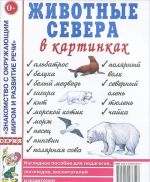 Zhivotnye severa v kartinkakh. Nagljadnoe posobie dlja pedagogov, logopedov, vospitatelej i roditelej