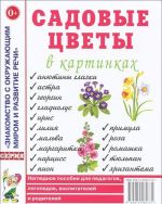 Sadovye tsvety v kartinkakh. Nagljadnoe posobie dlja pedagogov, logopedov, vospitatelej i roditelej