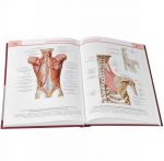 Atlas anatomii cheloveka. Uchebnoe posobie. V 3 tomakh. Tom 1