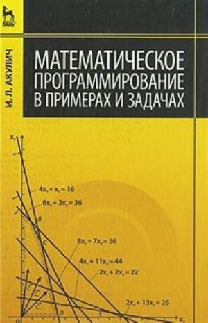 Matematicheskoe programmirovanie v primerakh i zadachakh