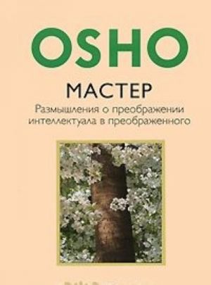 Master. Razmyshlenija o preobrazhenii intellektuala v preobrazhennogo