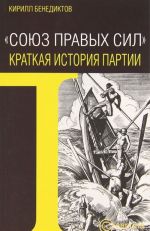 "Союз Правых Сил". Краткая история партии