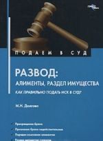 Развод. Алименты, раздел имущества. Как правильно подать иск в суд?