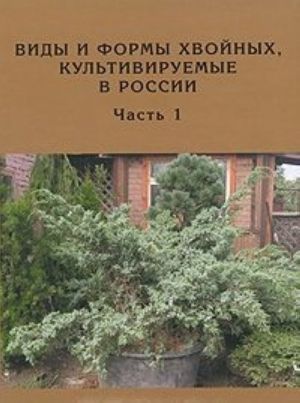 Виды и формы хвойных, культивируемые в России. Часть 1