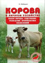 Korova v lichnom khozjajstve. Vybor porody, soderzhanie, razvedenie. Profilaktika zabolevanij