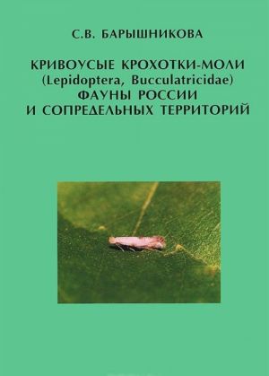 Кривоусые крохотки-моли (Lepidoptera, Bucculatricidae) фауны России и сопредельных территорий