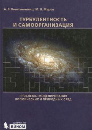 Turbulentnost i samoorganizatsija. Problemy modelirovanija kosmicheskikh i prirodnykh sred