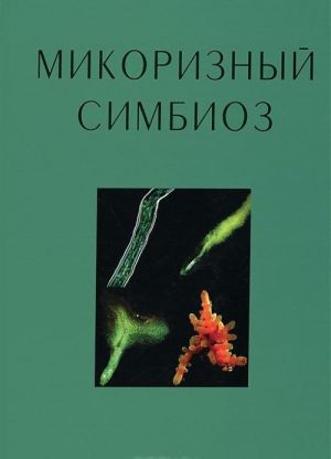 Микоризный симбиоз