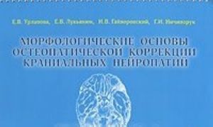 Морфологические основы остеопатической коррекции краниальных нейропатий