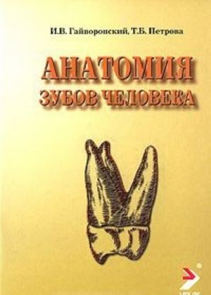 Anatomija zubov cheloveka