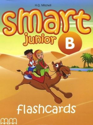 Smart Junior 4B: Flashcards