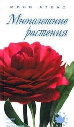 Многолетние растения. Виды, уход, разведение. Мини-атлас