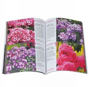 Sovremennyj assortiment floksa metelchatogo. Katalog. Vypusk 1