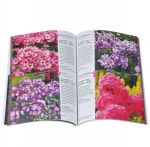 Sovremennyj assortiment floksa metelchatogo. Katalog. Vypusk 1