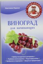 Виноград для начинающих